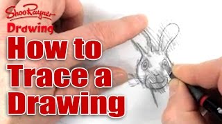 How to trace a drawing [upl. by Francyne813]