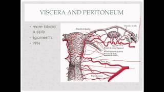 Day in the Life of an OBGYN [upl. by Huckaby]