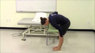 Tibialis Anterior Stretching [upl. by Nnaeirrac]