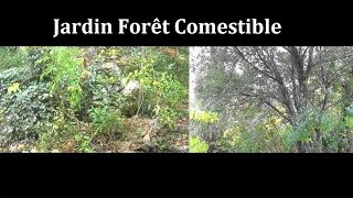 Le Jardin Forêt Comestible [upl. by Britton]