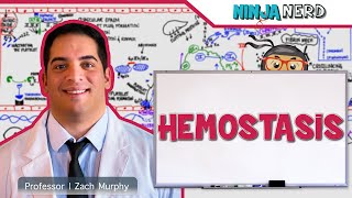 Hematology  Hemostasis Coagulation Cascade [upl. by Nyrehtac]