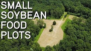 SOYBEAN FOOD PLOTS  How To Plant  Broadcast or Drill [upl. by Guglielma213]