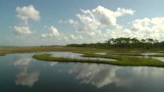 Marshes by the Mainland and Marsh Islands Why the Difference Matter In the Grass [upl. by Ettenor]