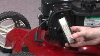 How To Change a Lawn Mower Air Filter [upl. by Alanson]