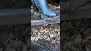 Extreme muddy leather high heel boots in woods [upl. by Egidio93]