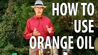 How To Use Orange Oil  The Dirt Doctor [upl. by Deerc]