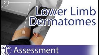 Dermatomes Lower Limb  Peripheral Neurological Examination [upl. by Orodoet]