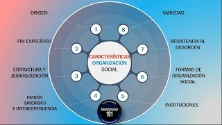 Organizacion Social Concepto Características y Tipos [upl. by Reseta]