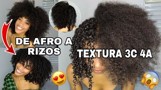 COMO DEFINIR EL CABELLO AFRO RIZADO TEXTURA 3C 4A  DEFINICIÓN DE RIZOS EN AFRO 😱 Rachell Santos [upl. by Silevi]