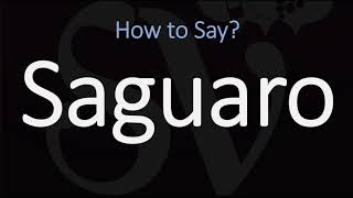 How to Pronounce Saguaro CORRECTLY [upl. by Piero]