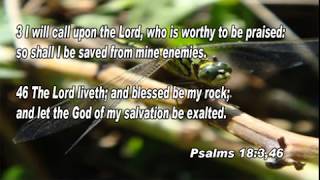 Scripture song Psalms 18346 I will call upon the Lord [upl. by Grissom914]