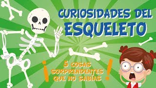 5 COSAS QUE NO SABÍAS DEL ESQUELETO HUMANO  CURIOSIDADES FASCINANTES PARA NIÑOS [upl. by Abbye]