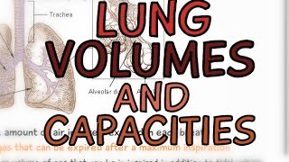 The Respiratory System Lung Volume and Capacities [upl. by Lehcsreh]