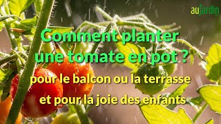 Comment PLANTER les TOMATES en POT🍅 Pour la CULTURE sur le BALCON ou la TERRASSE [upl. by Puttergill]