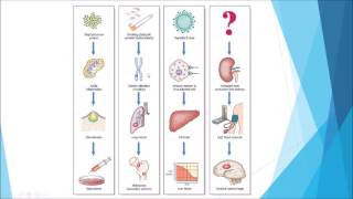 Pathology  Introduction and disease nomenclature [upl. by Aznaed715]