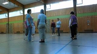 Square Dance Basic 1 [upl. by Sharity788]