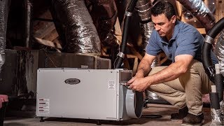 Whole House Dehumidifiers Pros amp Cons  Sylvane [upl. by Ajat]