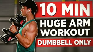 15 MINUTE ARM WORKOUT DUMBBELLS ONLY [upl. by Gamin324]