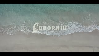 Codorníu [upl. by Attenyt702]