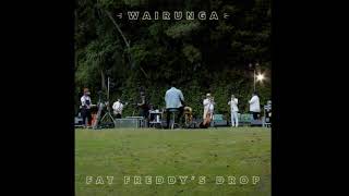 Fat Freddys Drop  Wairunga Full Album 2021 [upl. by Finstad]