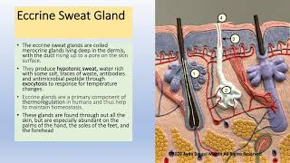 Endometrial Cancer and Hyperplasia for USMLE [upl. by Zurciram27]