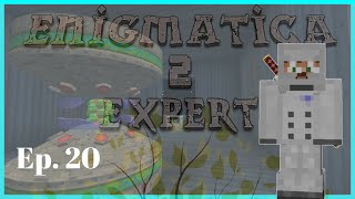 Enigmatica 2 Expert Ep20  Warping around [upl. by Clementina]