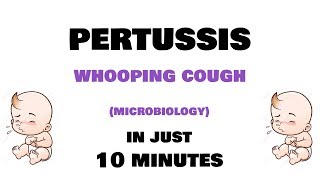 Pertussis  Microbiology Bordetella pertussis  clinical features investigations treatment [upl. by Nolyar]