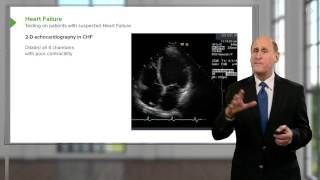 Aging and Heart Rate in Heart Failure [upl. by Innavoij740]