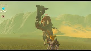 【ゼルダの伝説 ブレス オブ ザ ワイルド】 ライネル オマエ タオス [upl. by Acinnod107]