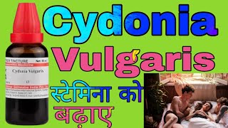 Cydonia Vulgaris Homeopathy Medicine Uses in Hindi [upl. by Hplar30]