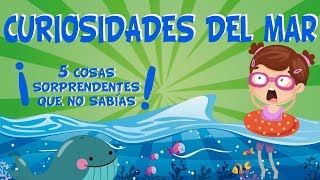 5 COSAS QUE NO SABÍAS DEL MAR  CURIOSIDADES FASCINANTES PARA NIÑOS [upl. by Gibeon]