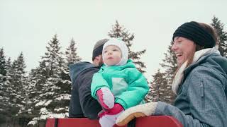 Horsedrawn Sleigh Rides around Stowe VT [upl. by Nnaoj]