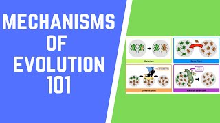 Mechanisms of Evolution 101 [upl. by Corabella]