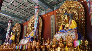 Fascinating Buddhist temples in China [upl. by Joellyn]