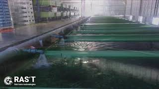 How Does a Recirculating Aquaculture System Works [upl. by Acirderf834]