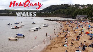 New Quay Wales New Quay Harbour Town Centre New Quay  Newquay beach [upl. by Dwayne]