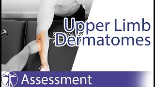 Dermatomes Upper Limb  Peripheral Neurological Examination [upl. by Grearson]