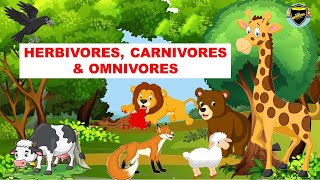 Herbivores  Carnivores  Omnivores  Types of Animals [upl. by Nerej]