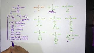 Generalidades de aminoácidos función y clasificación [upl. by Colson]