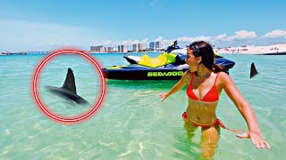 SHARK PRANK ON GIRLFRIEND FREAKOUT [upl. by Byers]