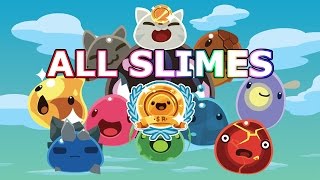 Find All The Slimes Find All Slime Rancher Slimes [upl. by Nerrad944]