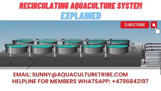 How does the RAS recirculating aquaculture system work [upl. by Anauqahs]