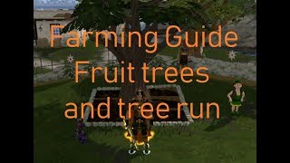 Runescape 3 Farming Fruit tree and Normal tree run Guide [upl. by Nnayelhsa]