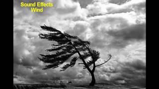 Storm Wind Sound Effects [upl. by Nihi]