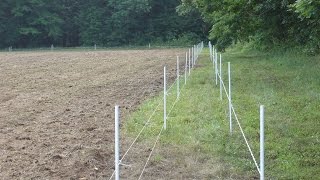 Protecting Your Food Plots from Deer Damage [upl. by Singer955]