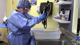 Manual Endoscope Reprocessing Part 2  AIMS Education [upl. by Ennybor]