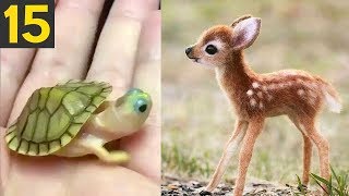 Top 15 Most CUTE Baby Animals [upl. by Toby406]