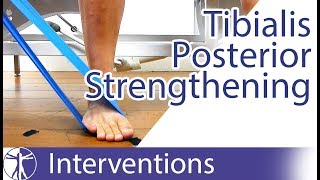 Tibialis Posterior Strengthening  Flat Feet Exercise [upl. by Salter477]