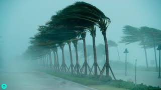 Sound Effects  Storm Winds Hurricane [upl. by Blackington]