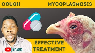 How to Treat Cough in Chickens Chronic Respiratory Disease in Poultry [upl. by Tristas161]